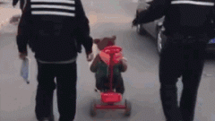 山西：举报食药平安违法案例最高奖励